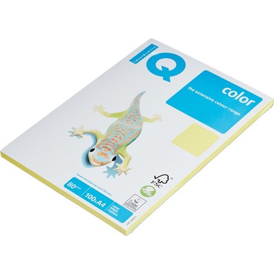   IQ COLOR (4,80,ZG34--)  100.