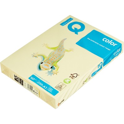   IQ COLOR (3,160,YE23-)  250.